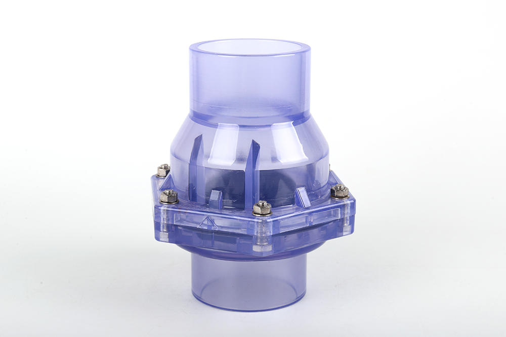 云和透明翻板式止回阀